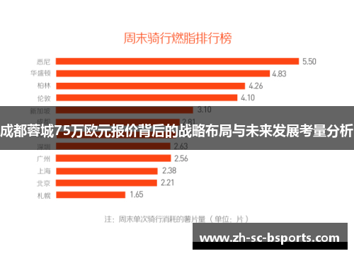 成都蓉城75万欧元报价背后的战略布局与未来发展考量分析