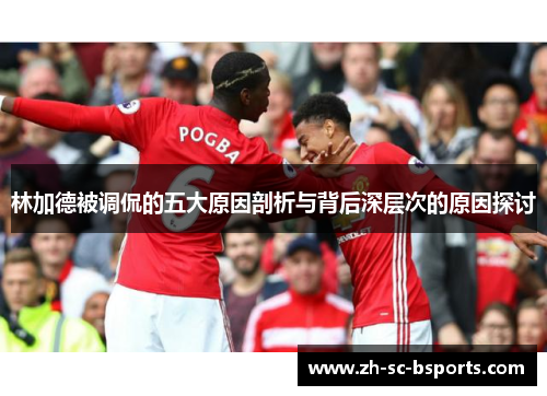 林加德被调侃的五大原因剖析与背后深层次的原因探讨