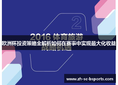 欧洲杯投资策略全解析如何在赛事中实现最大化收益