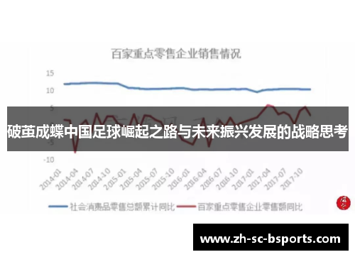 破茧成蝶中国足球崛起之路与未来振兴发展的战略思考