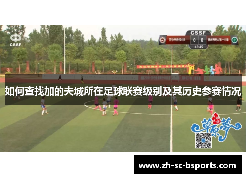 如何查找加的夫城所在足球联赛级别及其历史参赛情况