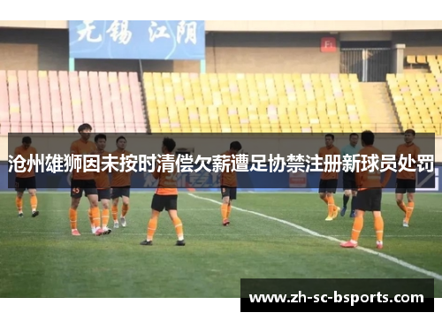 沧州雄狮因未按时清偿欠薪遭足协禁注册新球员处罚 沧州雄狮因未按时清偿欠薪遭足协禁注册新球员处罚