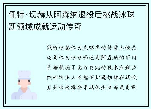 佩特·切赫从阿森纳退役后挑战冰球新领域成就运动传奇