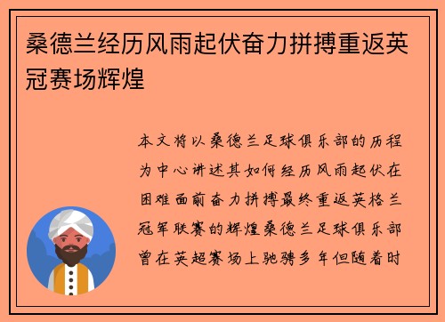 桑德兰经历风雨起伏奋力拼搏重返英冠赛场辉煌
